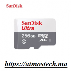 CARTE MEMOIRE SANDISK MICRO SDXC 256GO ULTRA
