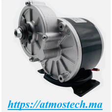 Moteur de réduction brossé 12V24V36V 250W350W