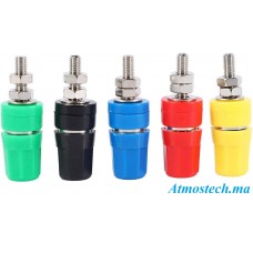 Connecteurs bananes en cuivre pur M4X36