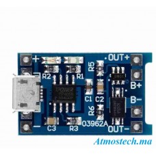 Module chargeur pour batterie Lithium 18650